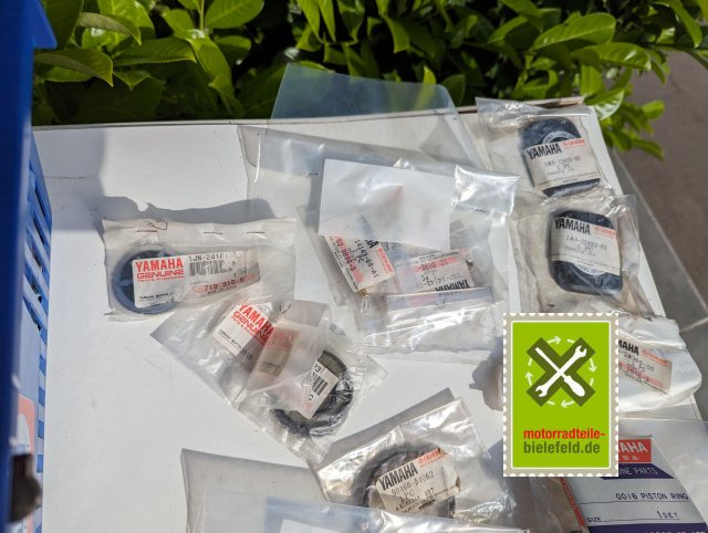 PXL_20240527_145550155